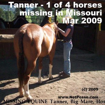 MISSING EQUINE Tanner, Big Mare, Hoss and Chevy, Near Wayland, MO, 63445